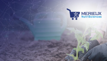 Analisi del terreno: perché serve fare un buon campionamento