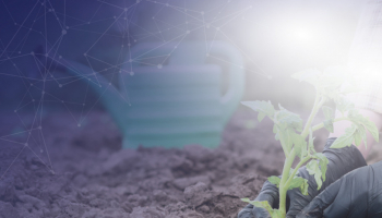 Quale nesso tra sostenibilità e analisi del terreno?